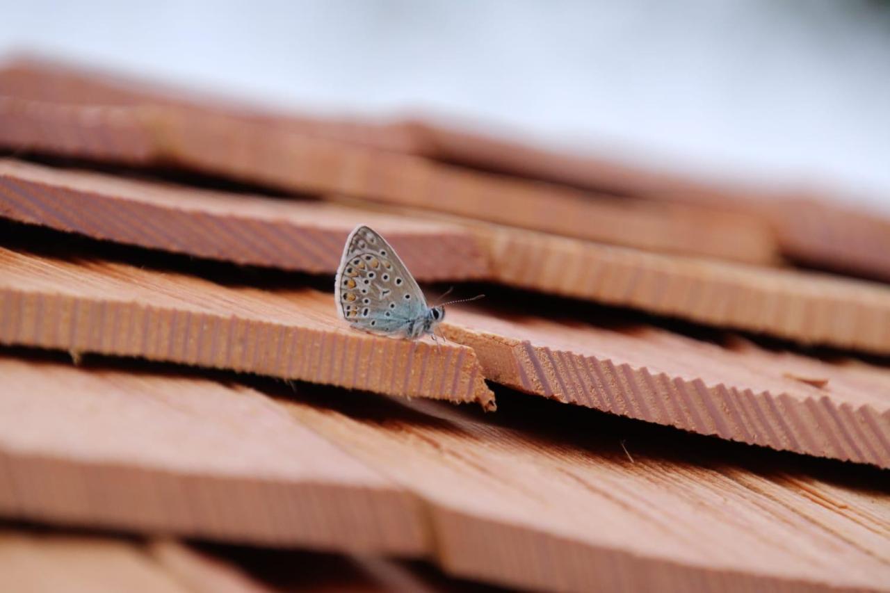 L'Insolite Jurassienne Dompierre-sur-Mont Esterno foto